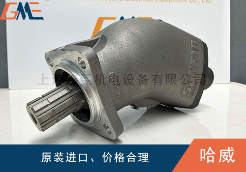 HAWE哈威液壓泵會出現(xiàn)哪些故障，如何解決？